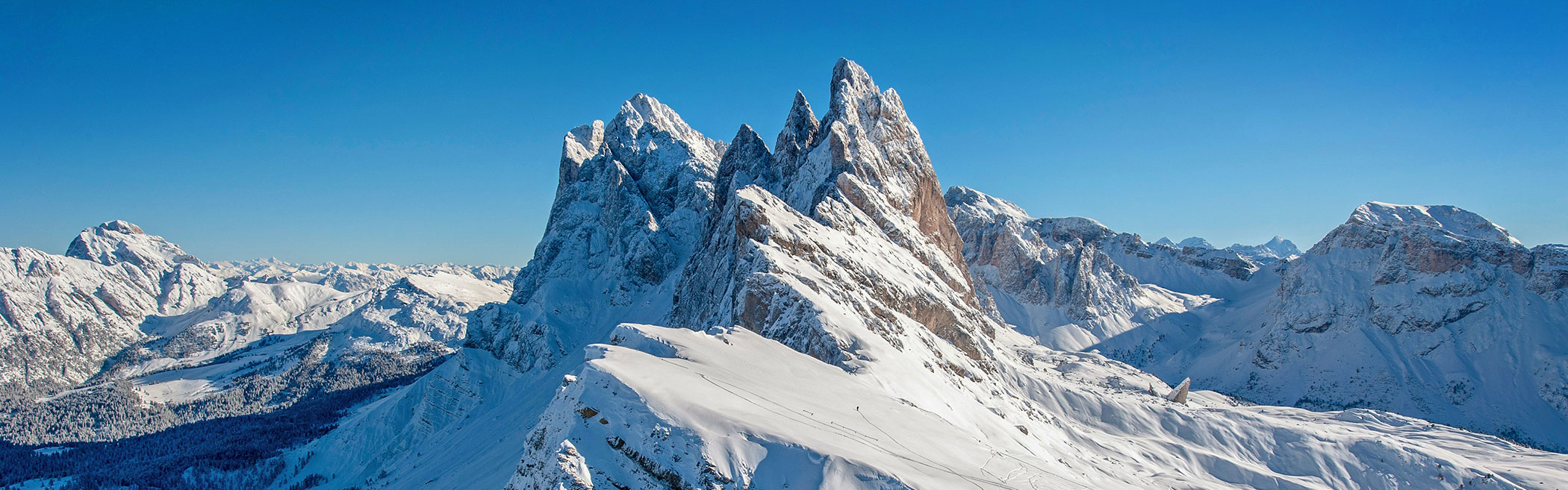 Xojayinning oyoqlari ostida opish video Erotik modellarga ega bolgan oddiylar