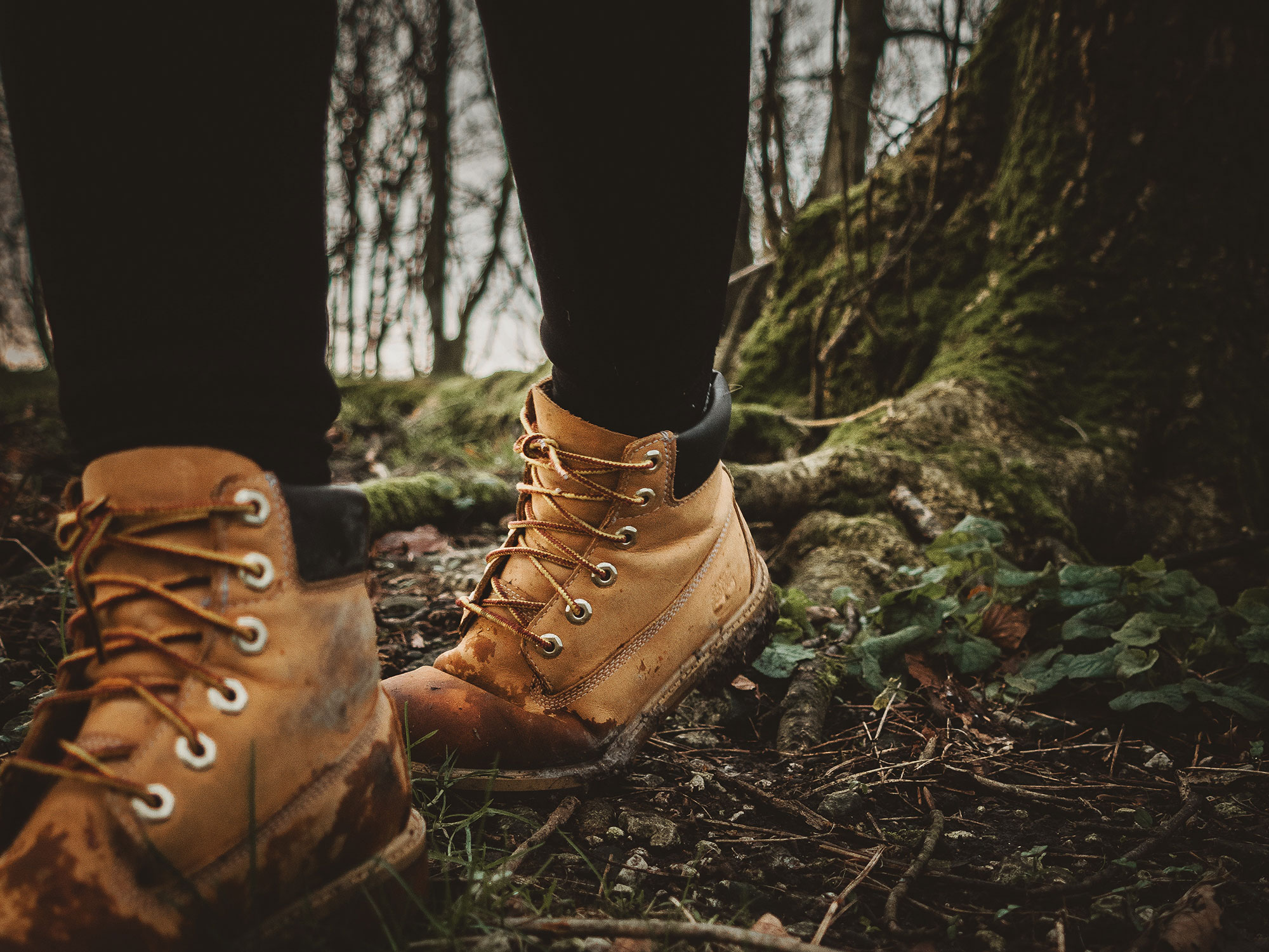 Hiking Highlights at Wieser