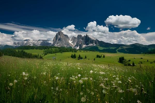 Tirler Dolomites Living Hotel