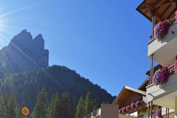 Raccolta fieno - Offerta speciale 6+1