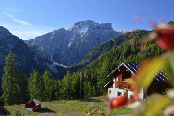 Autunno in montagna - Offerta speciale 6+1