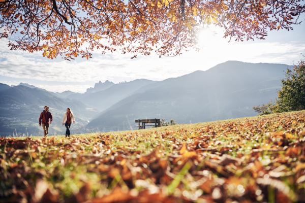Herbst- & Törggelewochen