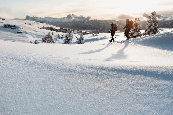 Ski, Schneeschuh & Co.