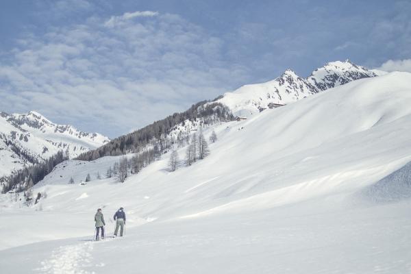 Wander often, wonder always