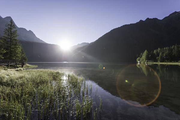 Frühlingsimpressionen