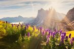 Tirler Dolomites Living Hotel