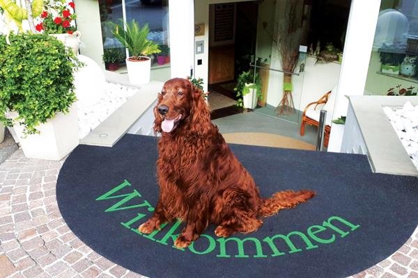 Aktivurlaub mit Hund