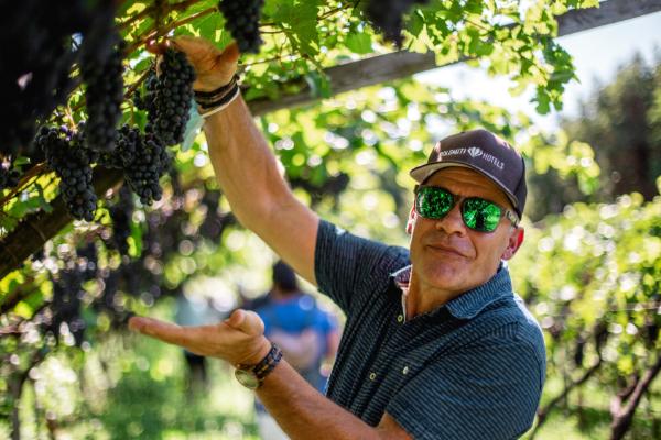 Wein erleben – verkosten und genießen