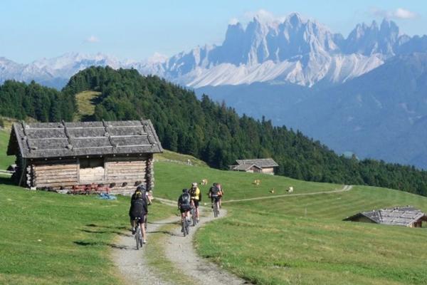 Hotel Feldthurnerhof