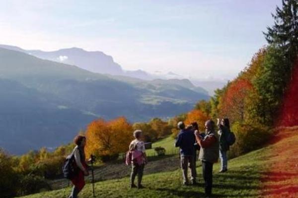 Autunno dorato