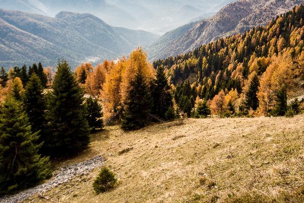 Autunno dorato