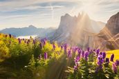 Tirler Dolomites Living Hotel