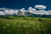 Tirler Dolomites Living Hotel