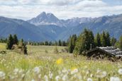 Dilia Dolomites