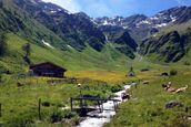 Strasserwirt - Ansitz zu Tirol 