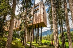 My Arbor – Dolomites (Bressanone / S. Andrea) in estate