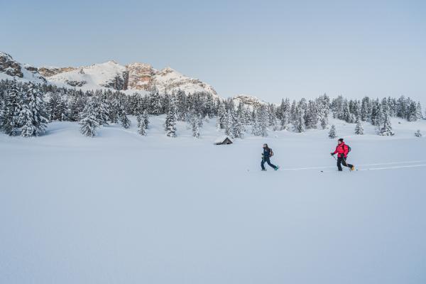 7=6 Edel.Weiss Winterwonderland