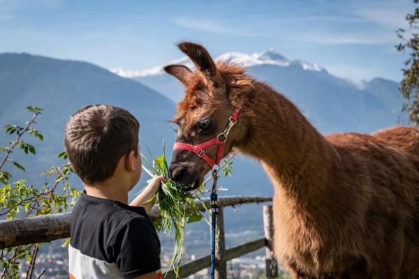 7 Tage im Familienhotel in Brixen