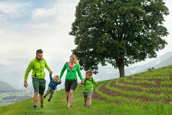 Un albero, una famiglia, mille momenti di felicità
