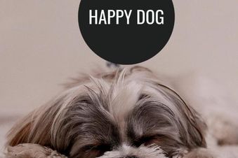 Parkhotel Sole Paradiso