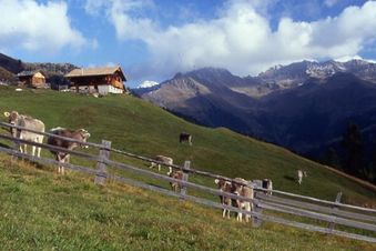 Turm Hotel Gschwendt