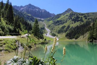 Strasserwirt - Ansitz zu Tirol 