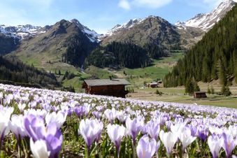 Strasserwirt - Ansitz zu Tirol 