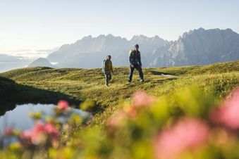 Strasserwirt - Ansitz zu Tirol 