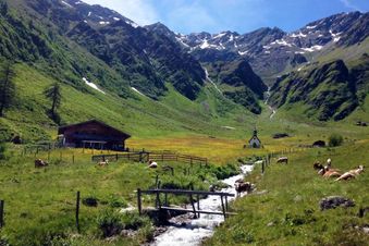 Strasserwirt - Ansitz zu Tirol 