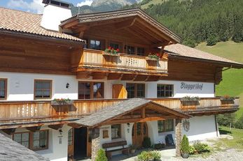 Bruggerhof am Klausberg (Valle Aurina / Cadipietra) in estate