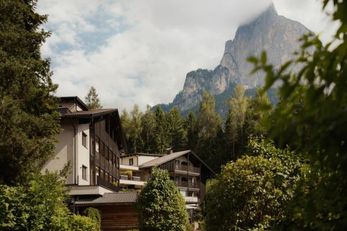 Waldrast - Forestside Living  (Seis am Schlern) im Sommer