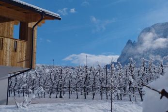 Neuhuberhof (Völs am Schlern) im Winter