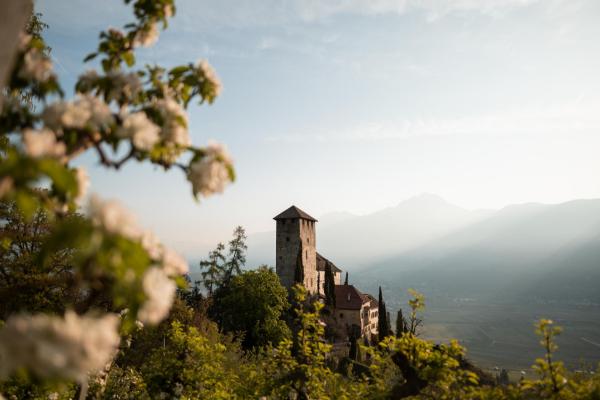 Im Tiefenbrunn - Gardensuites & Breakfast