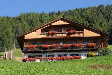 Galler am Berg