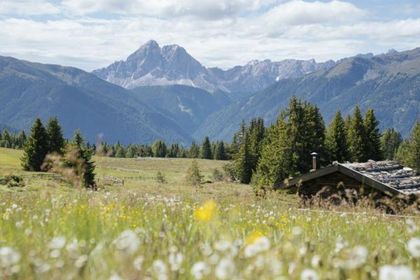 Dilia Dolomites