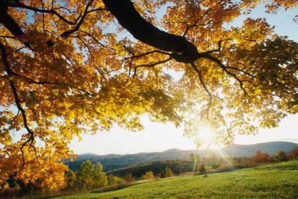 GOLDENER HERBST IN SÜDTIROL