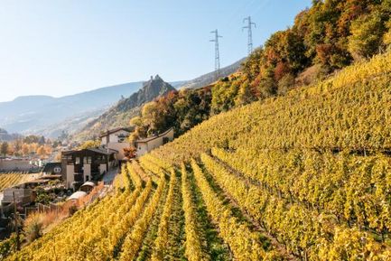Autunno dorato 7=6