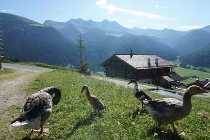 Haus Vitus - anno 1530