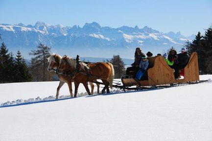 Reiterbauernhof Oberfahrer (Jenesien) im Winter