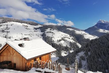 Natur Chalet Rinkwein