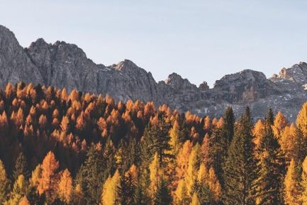 4=3 Herbstzauber im Edel.Weiss