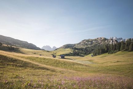 7=6 Edel.Weiss Speciale Primavera