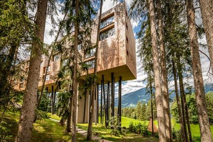 My Arbor – Dolomites