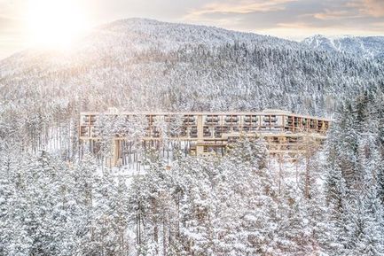 My Arbor – Dolomites