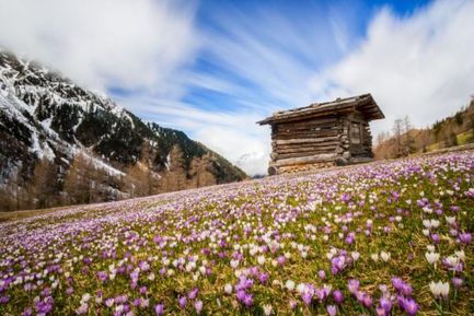 Ritorno alla natura 5=4 oppure  7=6 