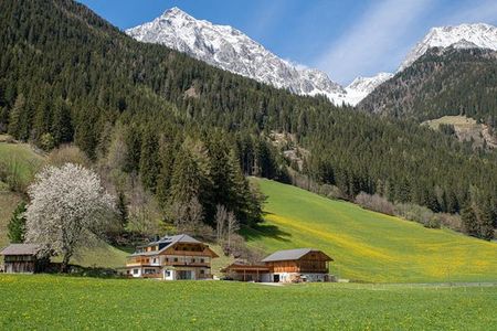 Appartment Hirberhof (Antholz) im Sommer