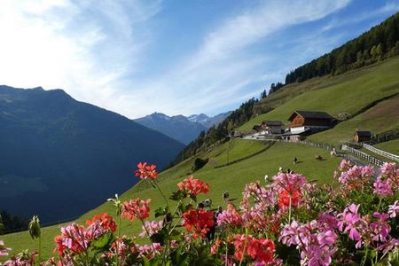 Residence Roanerhof (Sand in Taufers) im Sommer