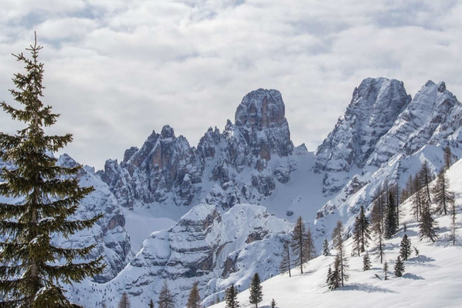 Weiße Wochen März - Vorteilsangebot 6+1