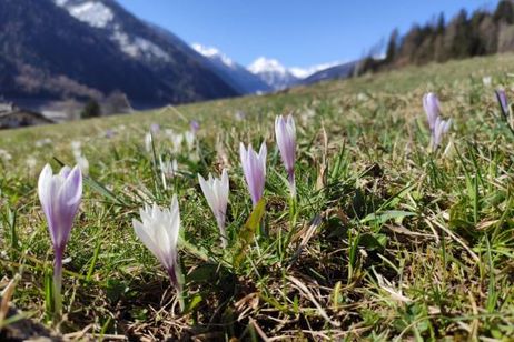 Winter trifft Frühling 5=4