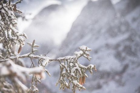 Edel.Weiss Saisonsstart